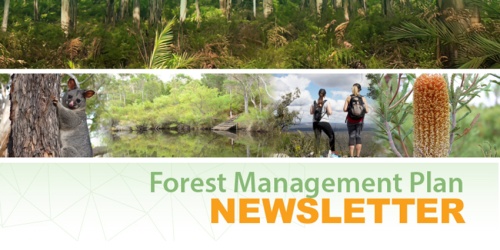 Forest Management Plan Frequently Asked Questions | Department Of ...