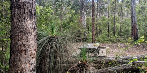 Grasstree Hollow campground in Hawke National Park can now be booked online