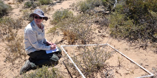 A staff member wearing a hat kneels beside a square made of plastic tubing placed over vegetation as part of a surveying project