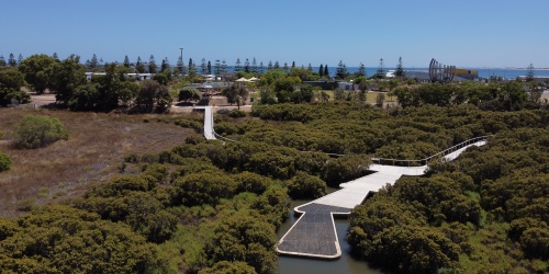 Mangrove Cove boardwalk