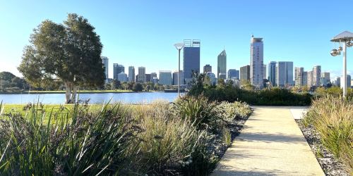 Millers Pool, South Perth Photo looking towards Perth City over the river. Path and vegetation in foreground. River and the city skyline in the background.