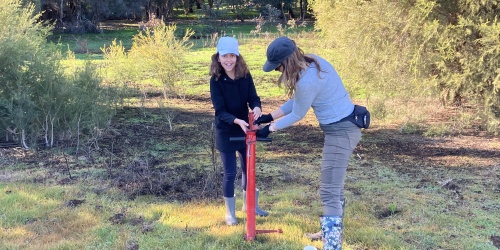 Friends of Bennett Brook planting along the brook under a Round 5. Photo by DBCA project Friends of Bennett Brook planting along the brook under a Round 5 project