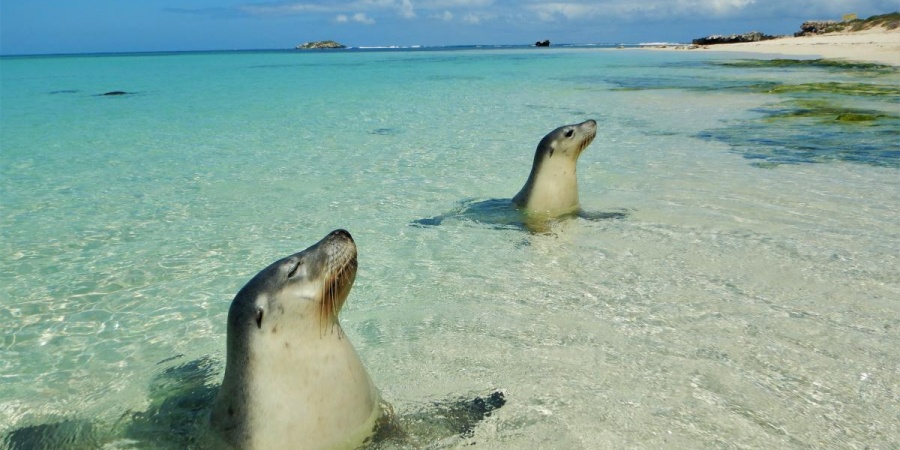 Jurien Bay Marine Park - Photo DBCA