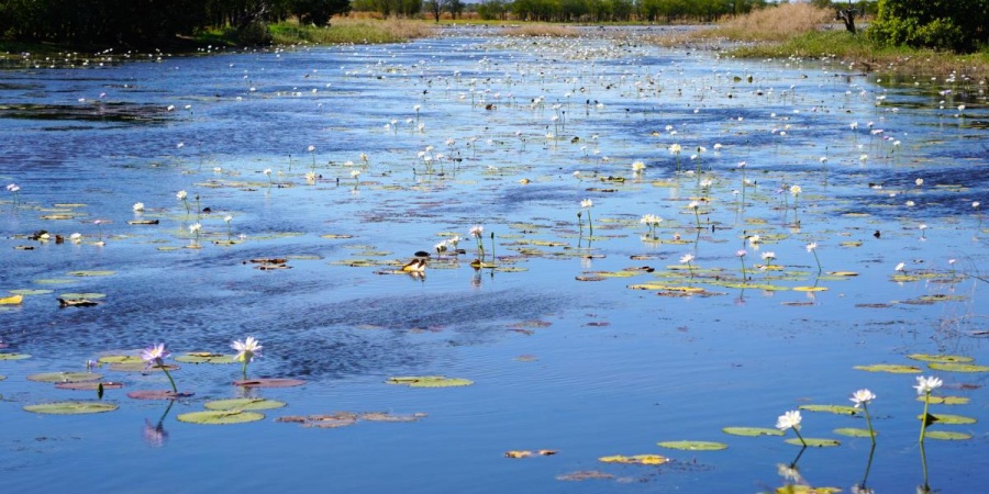 Parry Lagoons Nature Reserve - Photo Amanda Smith