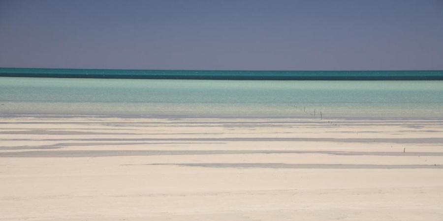 Shark Bay Marine Park - Photo Tourism WA