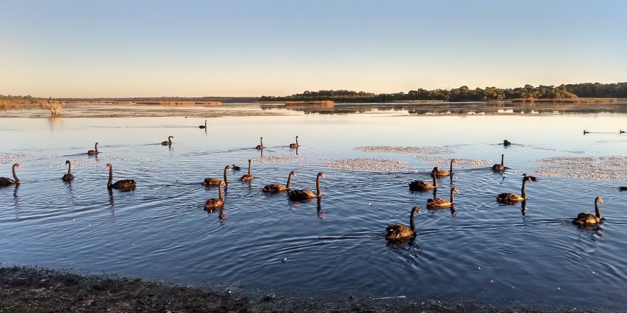 Lake Joondalup Photo Fiona Felton/DBCA