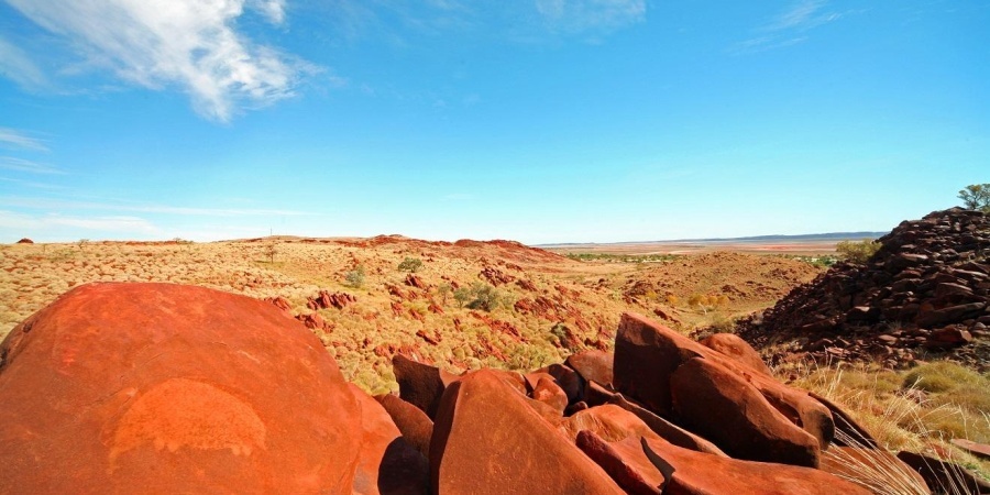 Rock Art Echidna