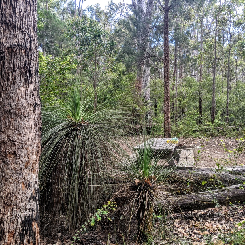 Grasstree Hollow campground in Hawke National Park can now be booked online