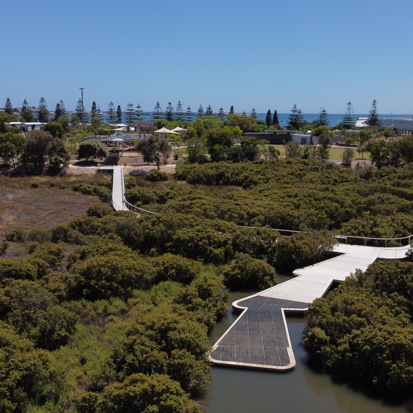 Mangrove Cove boardwalk