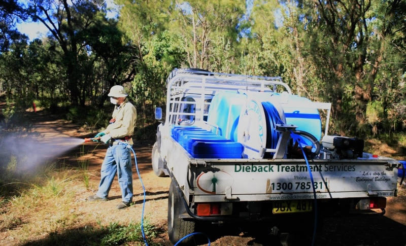 Phosphite being sprayed onto foliage by a contractor. Photo by DWG Inc.