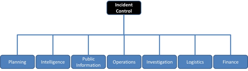 AIIMS structure