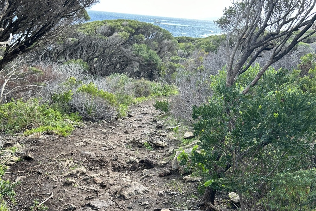 Trail before upgrades between Smiths Beach and Wyadup, at Moses Rock. Photo DBCA Trail before upgrades between Smiths Beach and Wyadup, at Moses Rock. Photo DBCA